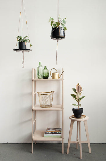 bookshelf-mid-century-modern-in-the-interior-with-plants