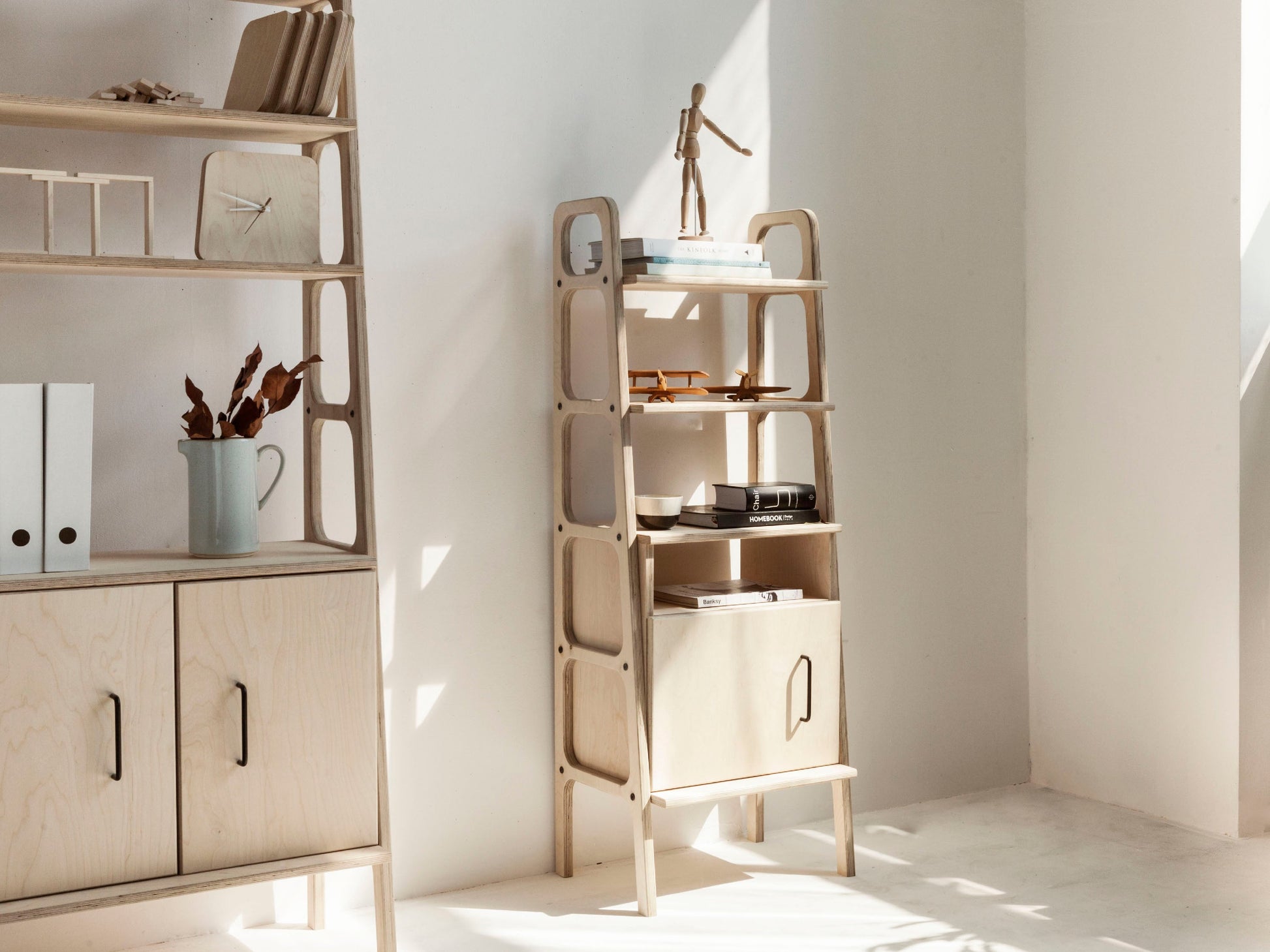 modern-bookcase-with-cabinet-in-studio